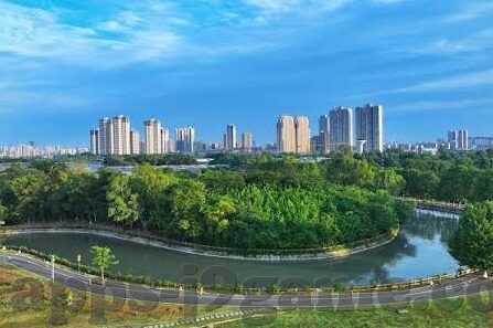 澳门赌场筹码是港币吗-澳门赌场筹码与港币的关系，一种经济现象的观察